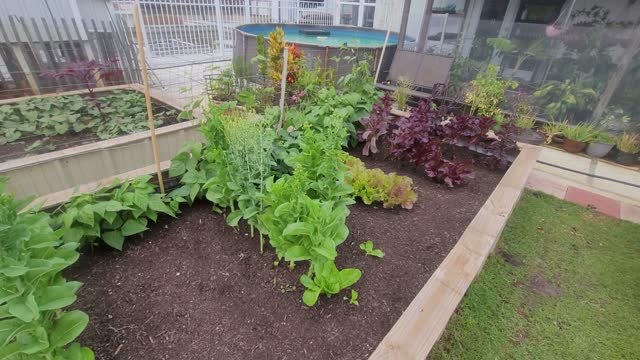 Young Family Farm Garden Beds