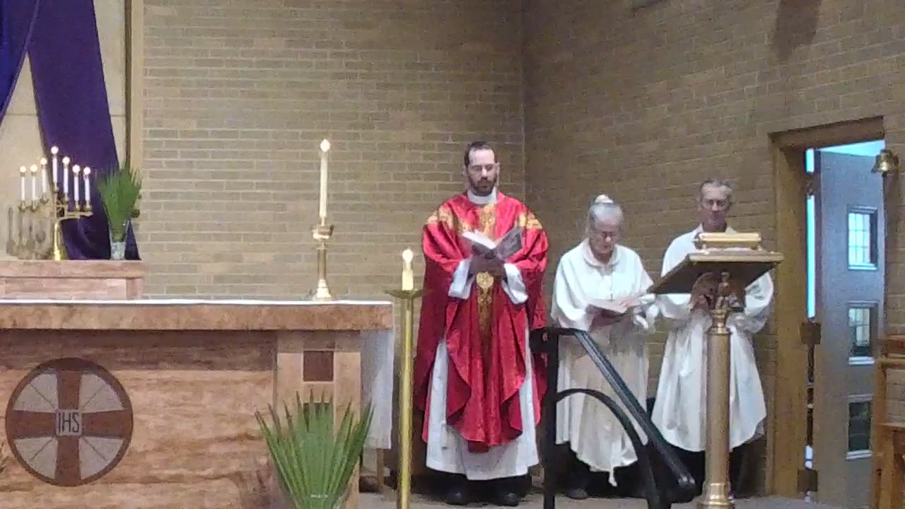 Palm Sunday of the Passion of the Lord – St. Mary’s, Mora