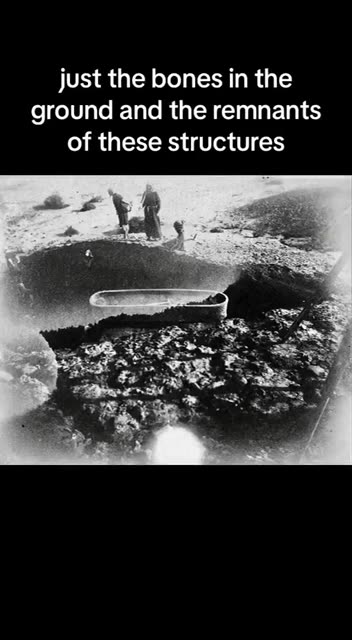 Rinse Wash Repeat= HISTORY