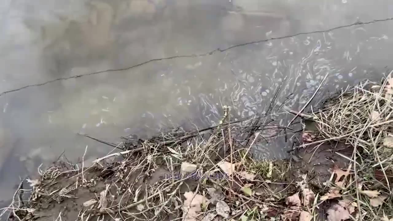 Bannon's War Room: You Can Still See Chemicals In The East Palestine Water - 3/28/23