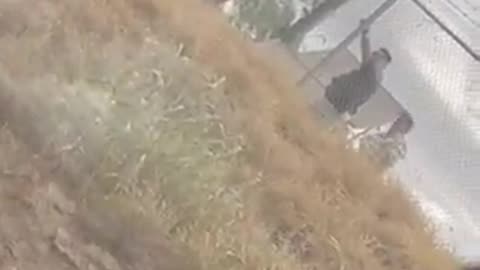 Video from source in Eagle Pass shows Border Patrol cutting through razor wire.