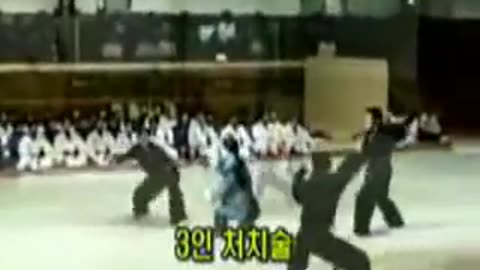 Hapkido