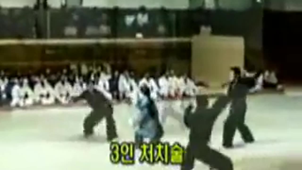 Hapkido