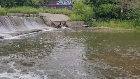 Fish ladder