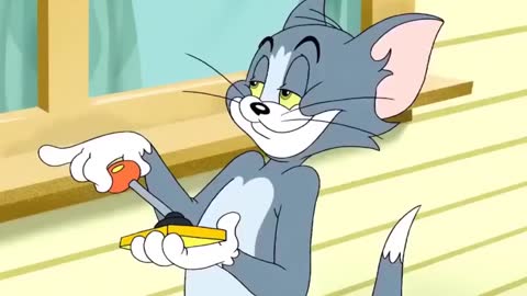 tom and jerry