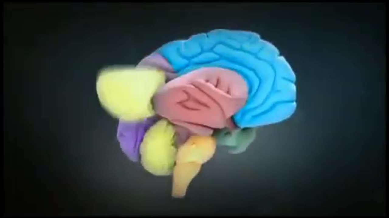 The beautiful documentary about the brain 2