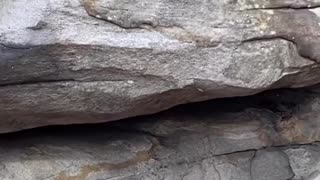 LAYER CAKE ROCK?