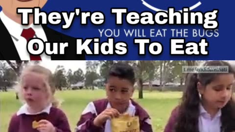 They're Teaching Our Kids To Eat Ze Bugs....