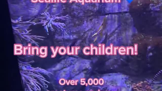 Just me exploring TEXAS