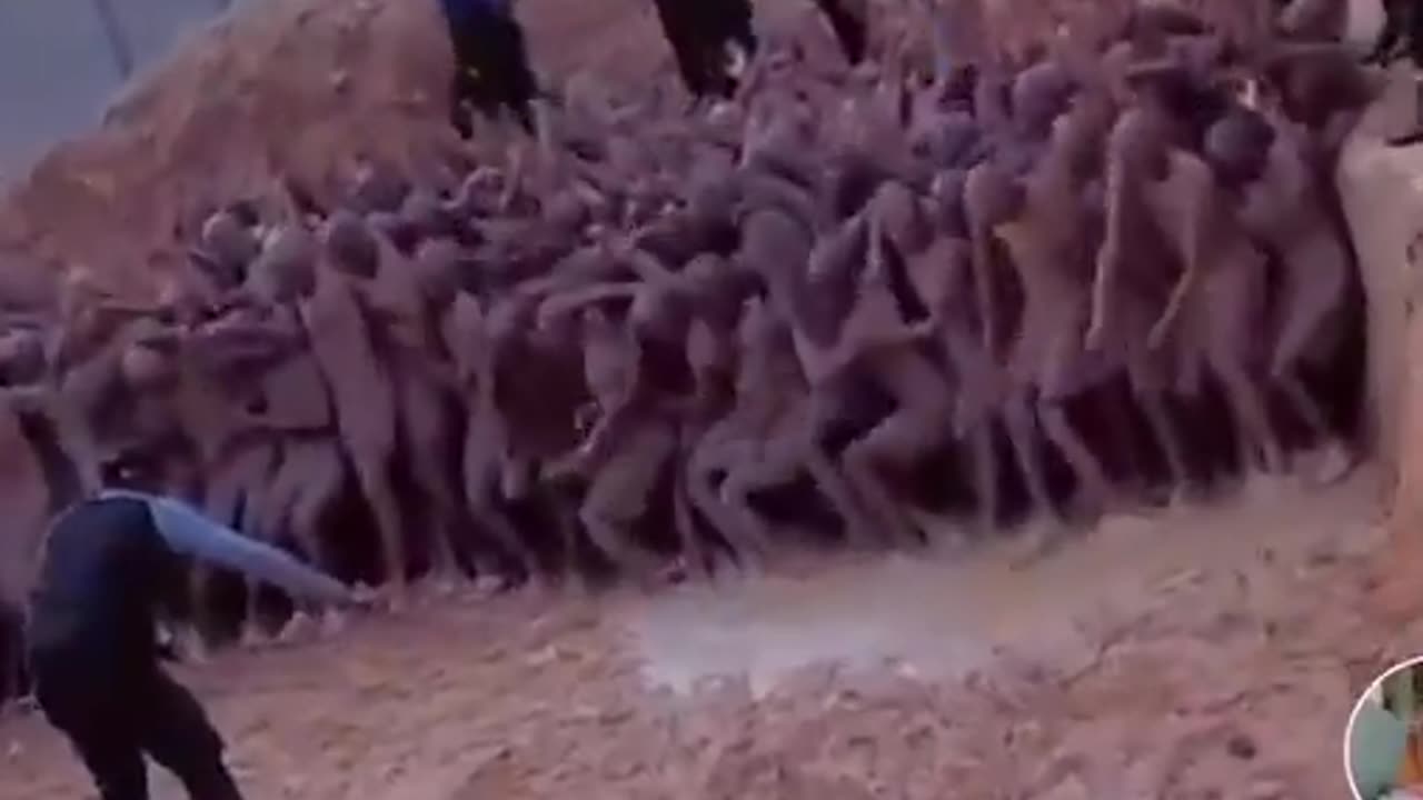 Auction by Africans by AfricansWhere they are forced to work in tunnels.