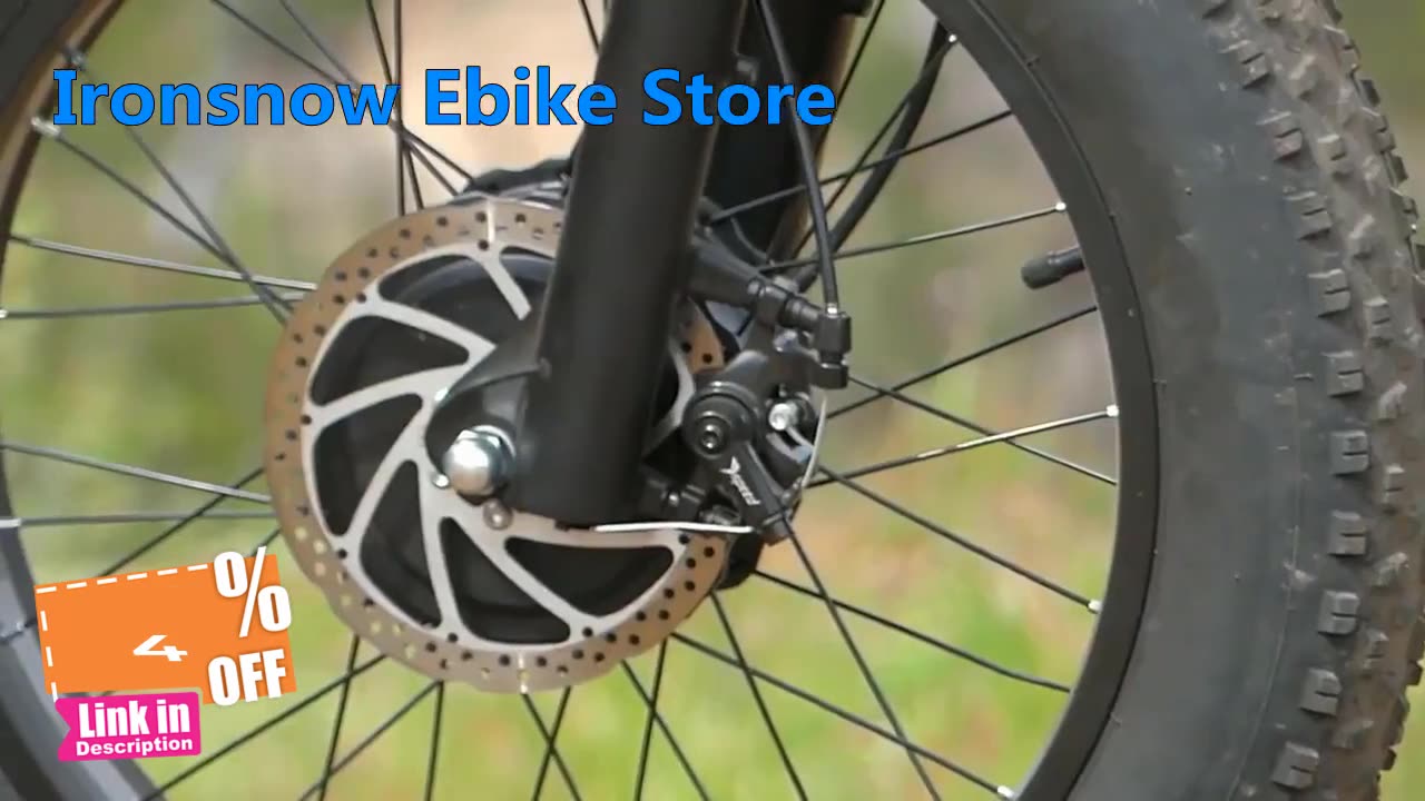 Retro Cargo Electric Bike 48V 1000W 2000W Dual Motor Ebike