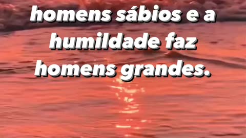 Faça sua escolha !!!