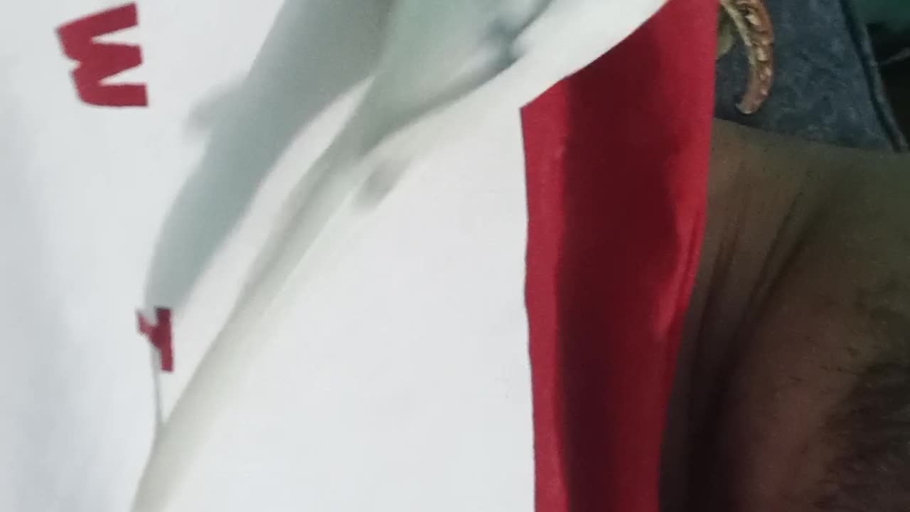 Cute bird vlogs || Likhon's worLd || 22 February, 2024