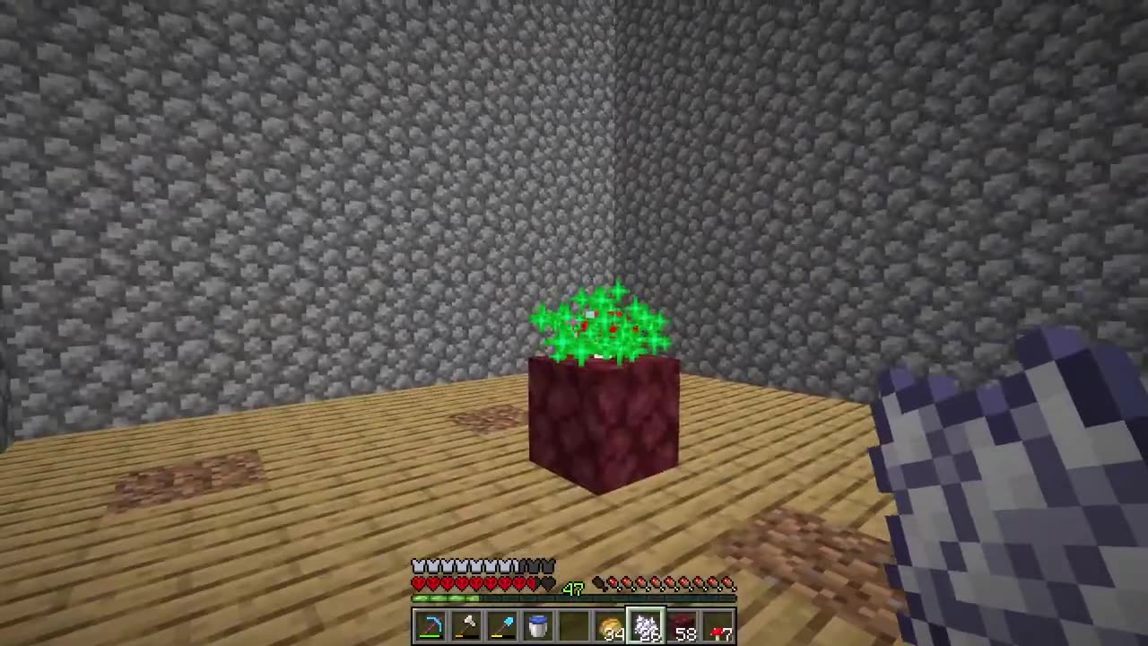 Survived the NETHER on ONE BLOCK Minecraft