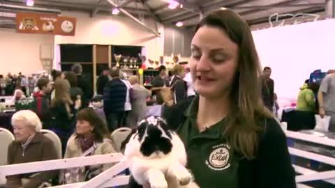 Cute Bunny Jumping Competition! - The Cute Show_Cut