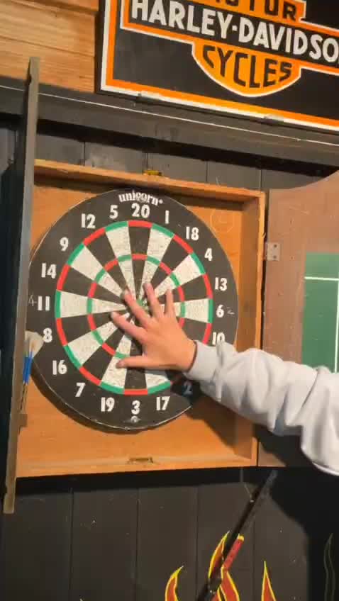 DART GAME.... Could it be otherwise? 😳 💥 🤦‍♂️