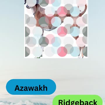 Bow-wow Trivia Challenge 12 # shorts