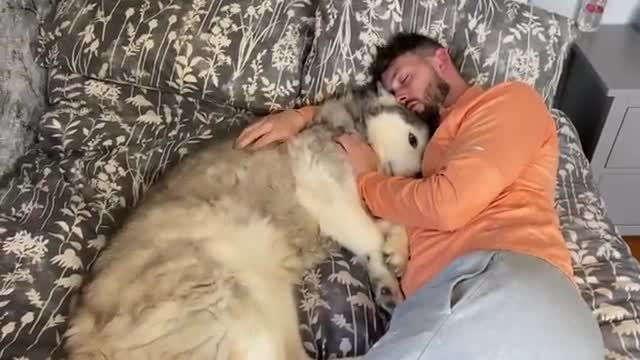 The Funny Similarities Between My Husky & Baby!!😂. [CUTEST VIDEO EVER!!!]