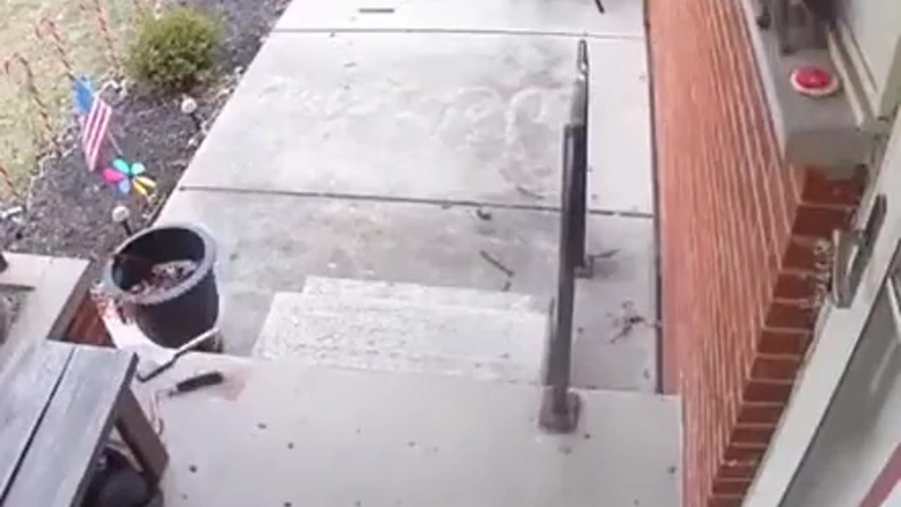 Squirrel brings woman a cookie as a thanks for food