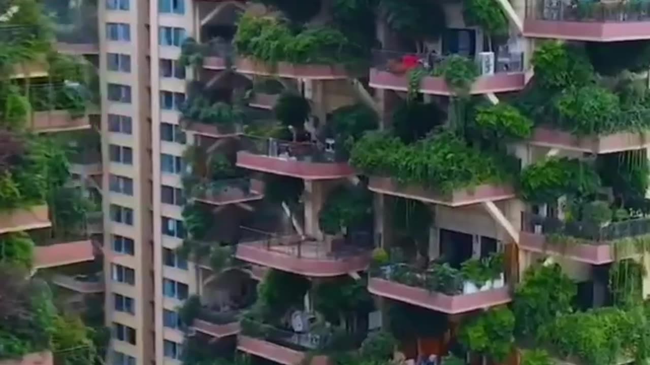 Amazing city forest garden of Qiyi in Chengdu in China