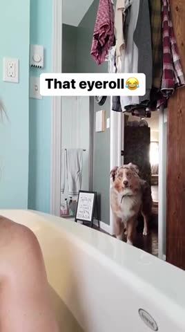 THE EYE 👁️ ROLL🤣