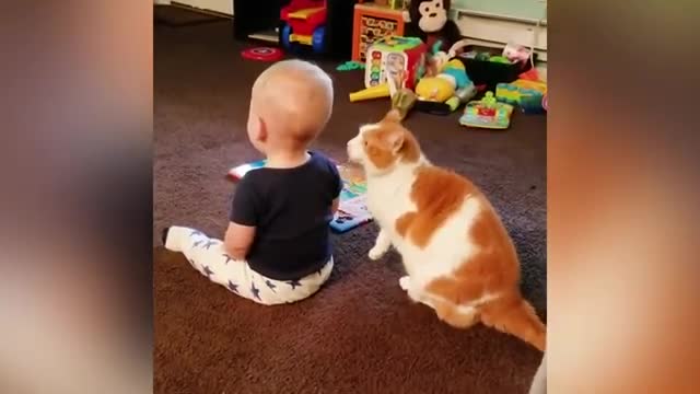 Cats & Babies Cute & Funny Cat Compilation 2021