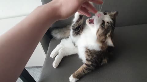 I'm ready to squeeze Hooman's hand