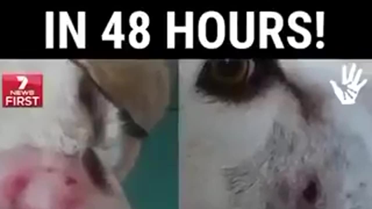 Many natural cures for cancer like this are suppressed