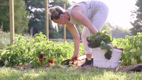 CSA Farmer Lauren Talks About the Importance of Cultivating Community