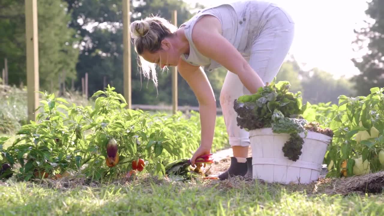 CSA Farmer Lauren Talks About the Importance of Cultivating Community