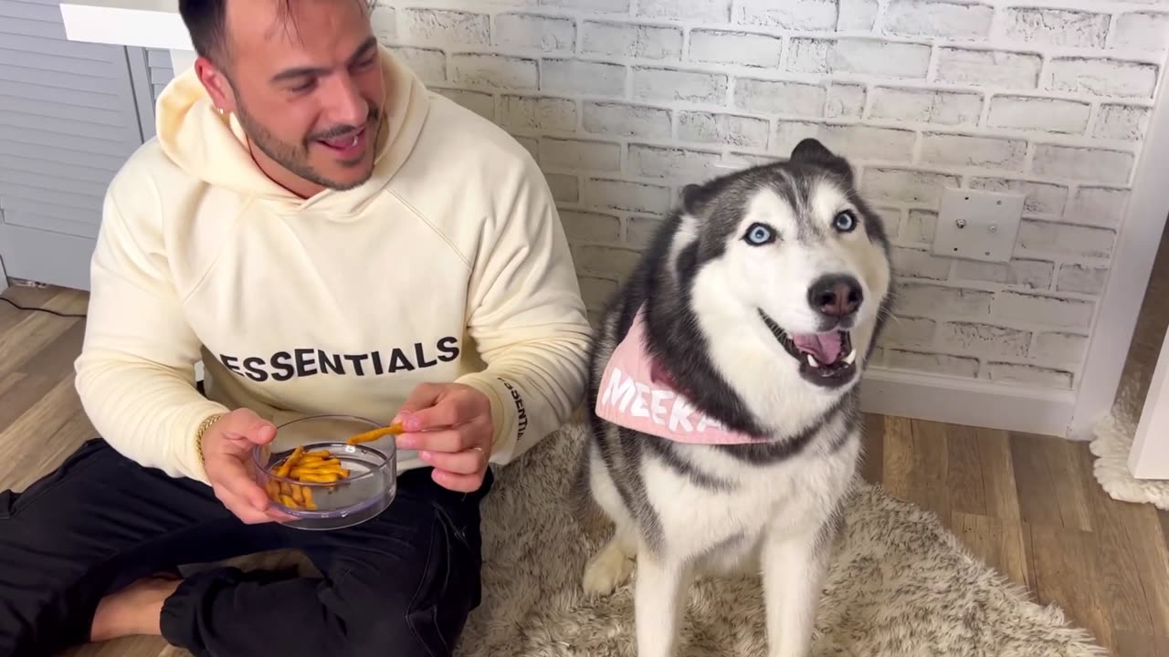 Eating My Husky’s Food Out Of Her Bowl (SHE FREAKS OUT!)