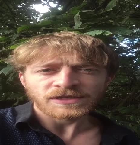 If ever there was a video to highlight the ridiculousness of the covid narrative, this is it