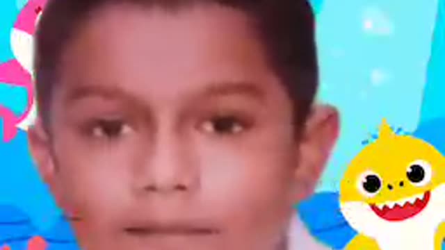 Baby shark remix