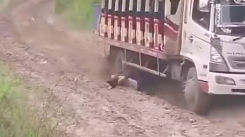 Third World Public Transportation