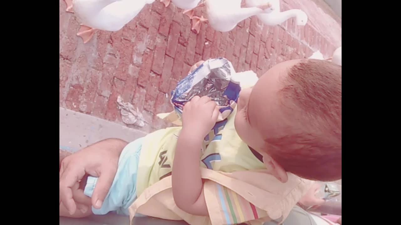 Affan giving slanty to ducks #viral #viralvideo
