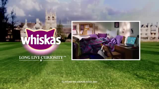 Ep.3 Freshers Week - Kitten Play _ Kitten Kollege_2