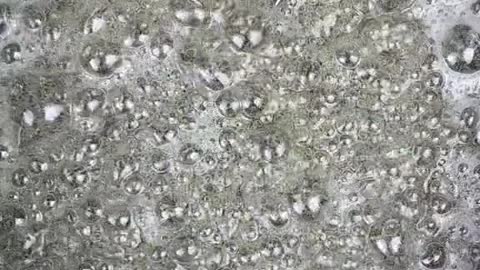 All kinds of food making tutorials