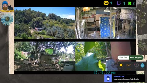 Life on Doc's Farm : Mavis Institute 🎵 🐓🦆🐝🐇🐖: Farmcore