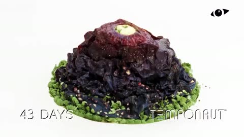 Rotting Plum