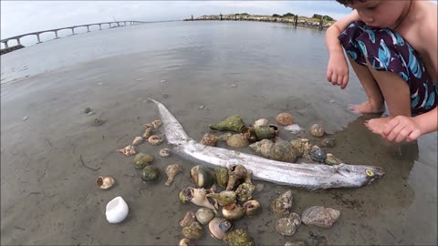 Exploring Pea Island, North Carolina