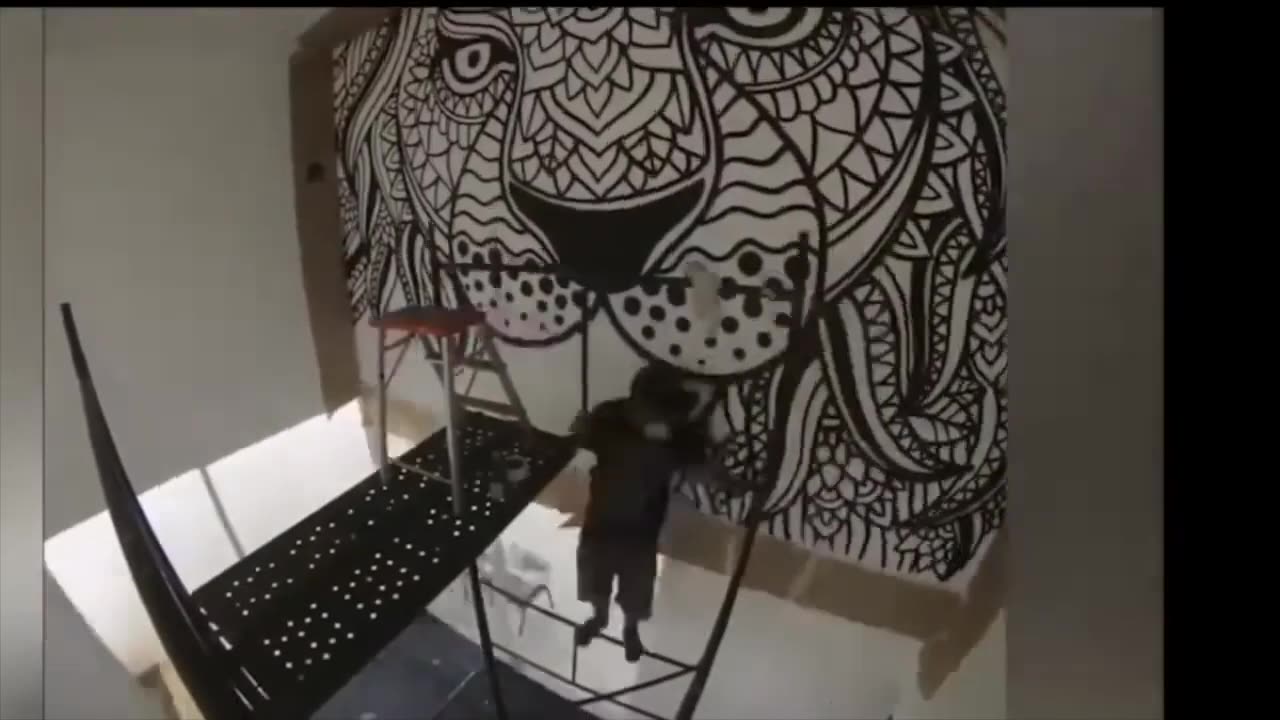 amazing videos