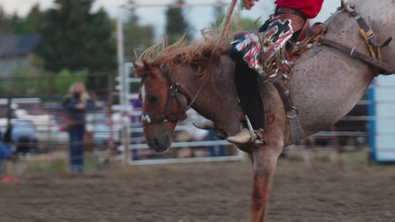 Best Bronc riding clips from this year