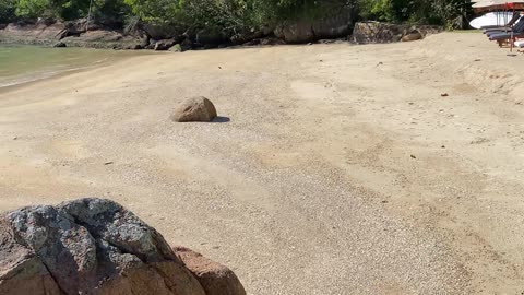 14/15 - Guiando você pelo paraíso: Praia da Ponta dos Ganchos em Governador Celso Ramos