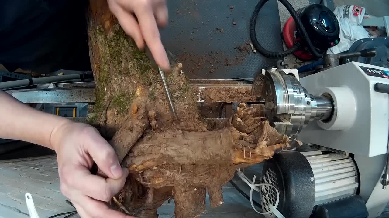 Woodturning - Hawthorn Root Lamp