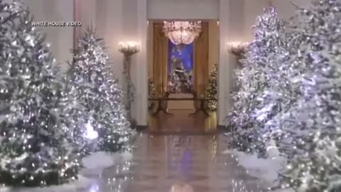 Our 1st Christmas with the Trumps
