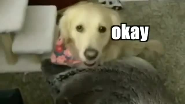 Wait till the end 😂