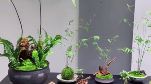 I love these little guys