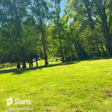 at park sun gazing chilling with God #fyp #shorts