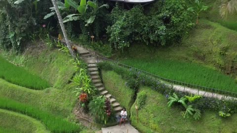 BALI Booty 🌴🦎🧬