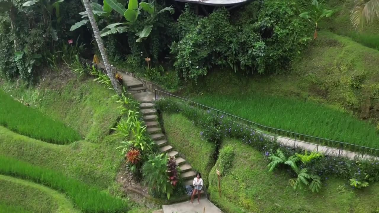 BALI Booty 🌴🦎🧬